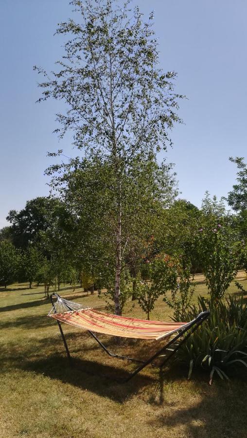 Le Mas De Carrie Bed & Breakfast Parisot  Екстериор снимка