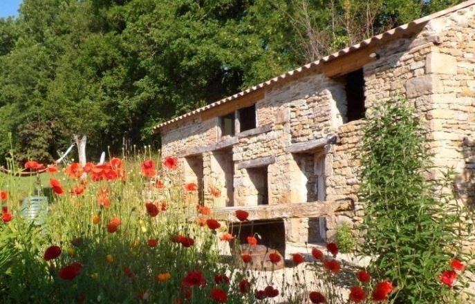 Le Mas De Carrie Bed & Breakfast Parisot  Екстериор снимка